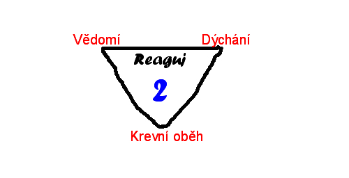 Reaguj